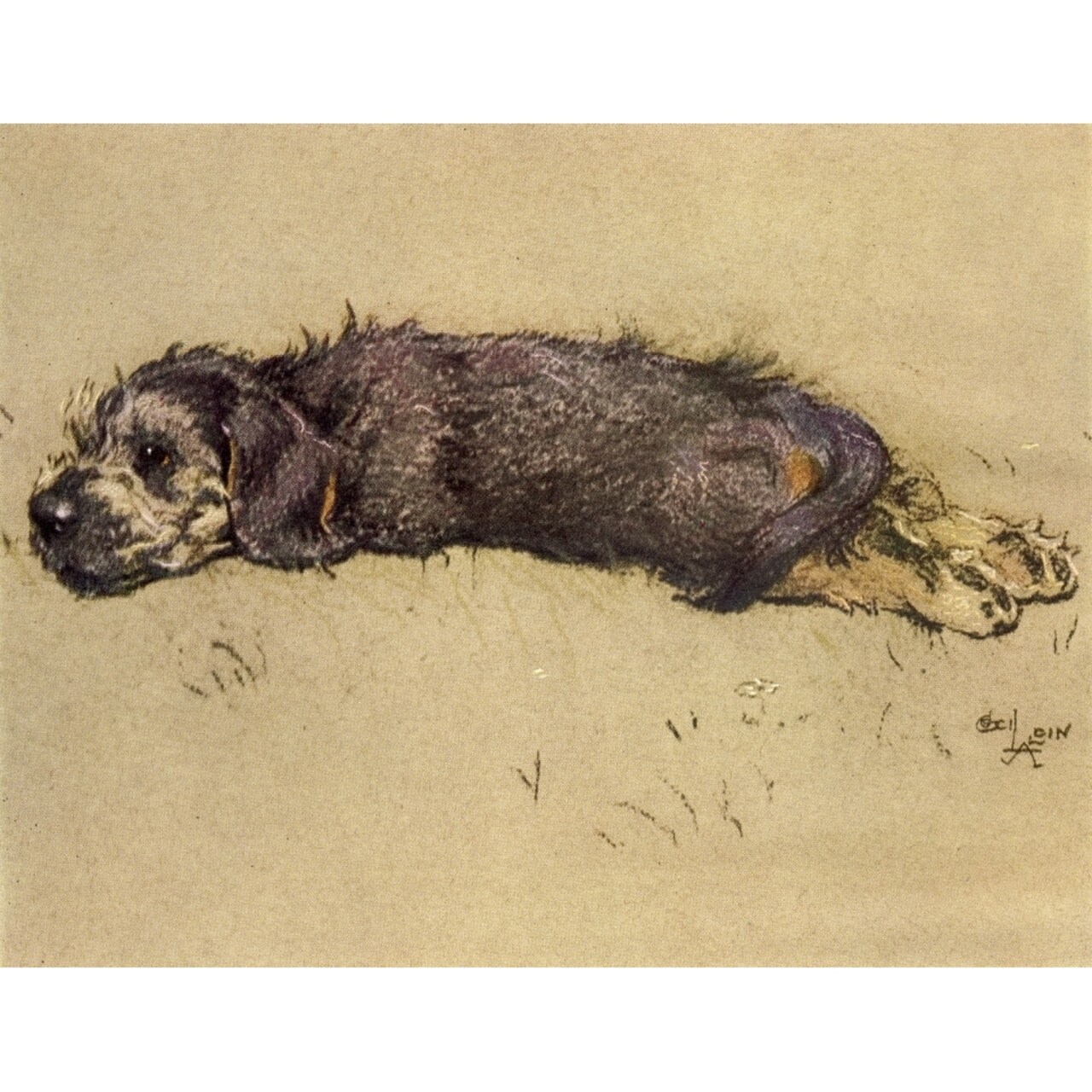 Posterazzi A Dozen Dogs or So 1928 Patsy the mongrel Poster Print by Cecil Aldin